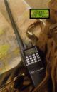 AMPLIAR