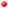 wpeF.jpg (672 bytes)